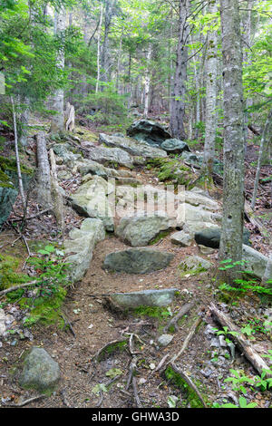 Rock passi lungo il sentiero Inlook in Randolph, New Hampshire durante i mesi estivi. Questo sentiero conduce alla Cupola della roccia. Foto Stock