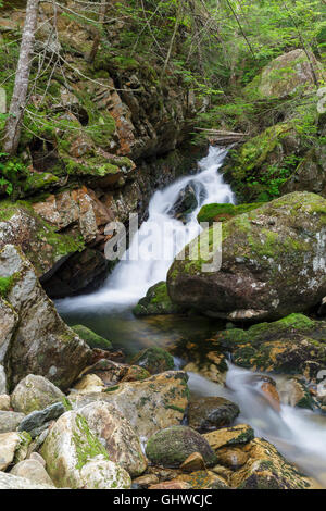 Cascata lungo il ruscello a freddo in Randolph, New Hampshire durante i mesi estivi. Foto Stock