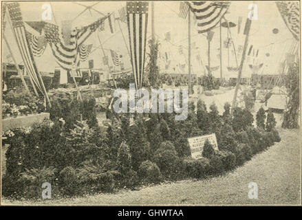 Catalogo di piccoli frutti hardy perenni, cespugli di rose, vigne, dalie, hedge piante, alberi sempreverdi, giardino radici, etc. con illustrazioni e commenti (1912) Foto Stock