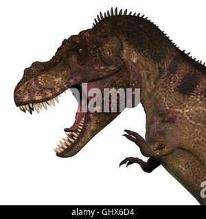 Tyrannosaurus Rex era un dinosauro carnivoro che visse nel Cretaceo del Nord America. Foto Stock