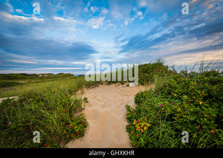 Le dune di sabbia in provincia terre a Cape Cod National Seashore, Massachusetts. Foto Stock