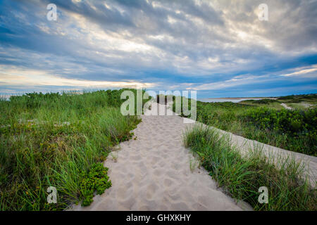 Le dune di sabbia in provincia terre a Cape Cod National Seashore, Massachusetts. Foto Stock