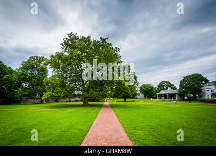 Albero e la passerella in Hyannis Cape Cod, Massachusetts. Foto Stock