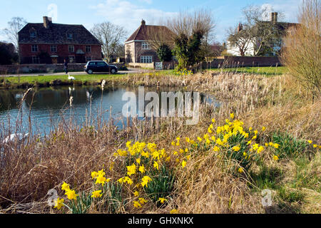 Stagni sul villaggio verde nel sole primaverile a Frampton on severn, Gloucestershire, Regno Unito Foto Stock