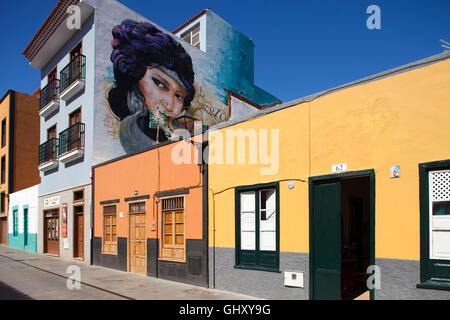 Case in Calle de Mequines, Puerto de la Cruz town, l'isola di Tenerife arcipelago delle Canarie, Spagna, Europa Foto Stock