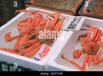 Granchio di locali per la vendita al mercato Omicho Kanazawa Giappone Foto Stock