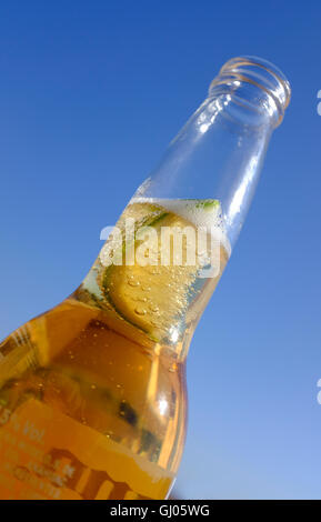 Lime in spagnolo bottiglia di birra Foto Stock