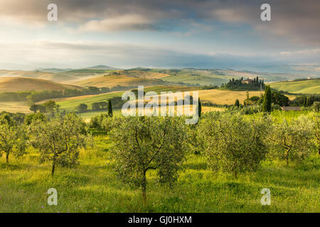 Villa Casanova e la Val d'Orcia all'alba, Toscana, Italia Foto Stock