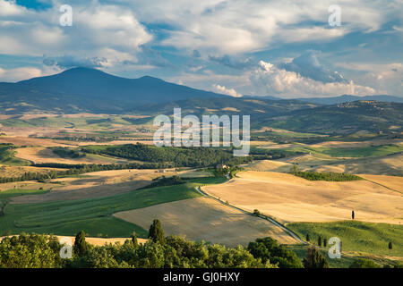 Il Monte Amiata e la Val d'Orcia vicino a Pienza, Toscana, Italia Foto Stock