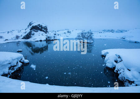 La caduta della neve a Mývatn, inverno nel nord est dell'Islanda Foto Stock