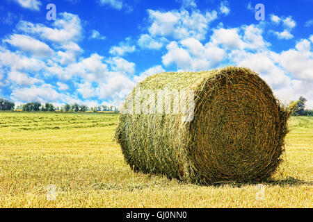 Balla di fieno sul campo di stoppie contro il cielo nuvoloso prese closeup. Foto Stock