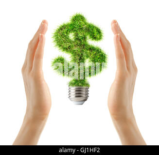 Il simbolo del dollaro fatti di erba come il bulbo della lampada in mani femminili Foto Stock