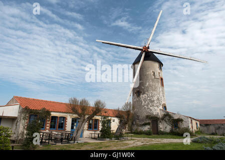 Moulin de Rairé. Mulino a vento a Sallertaine, della Vandea, Pays de la Loire, Francia. Foto Stock