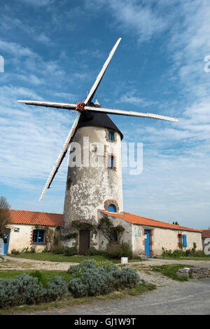 Moulin de Rairé. Mulino a vento a Sallertaine, della Vandea, Pays de la Loire, Francia. Foto Stock