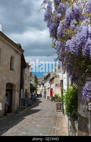 Il Glicine e una strada di ciottoli in Saint Émilion, Gironde, Francia. Foto Stock