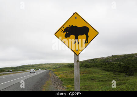 Un cartello stradale avvisa gli utenti della strada per essere di avviso per le alci al di fuori in Terranova e Labrador, Canada. Foto Stock