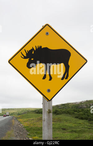 Un segno avverte gli utenti della strada per essere di avviso per le alci al di fuori di San Giovanni a Terranova e Labrador, Canada. Foto Stock