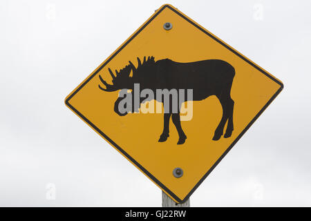 Un segno avverte gli utenti della strada per essere di avviso per le alci al di fuori di San Giovanni a Terranova e Labrador, Canada. Foto Stock