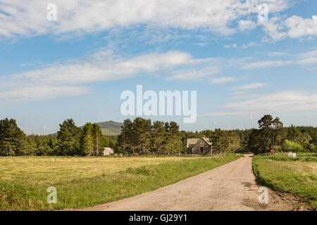 Cabrach road e il Buck in Moray. Foto Stock