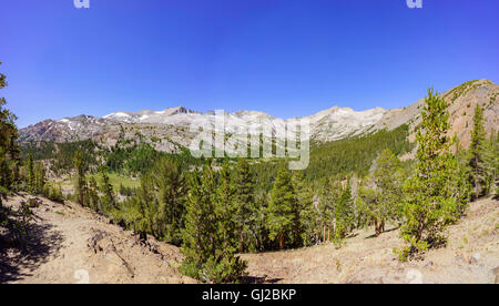 La bella vista della montagna del lago di borsette nella Foresta Nazionale di Inyo Foto Stock