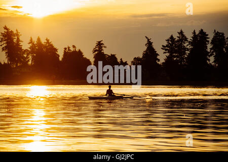 Stagliano uomo canottaggio scull unico sul Puget Sound al tramonto, Winslow, Bainbridge Island, nello Stato di Washington, USA Foto Stock