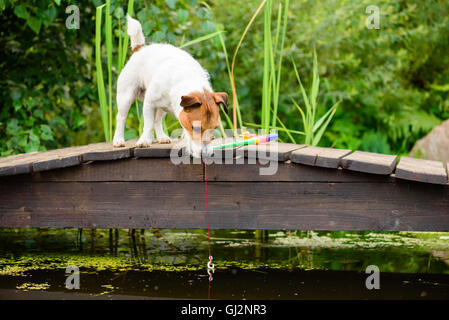 Funny fisherman tenendo la canna da pesca con gancio sulla linea Foto Stock