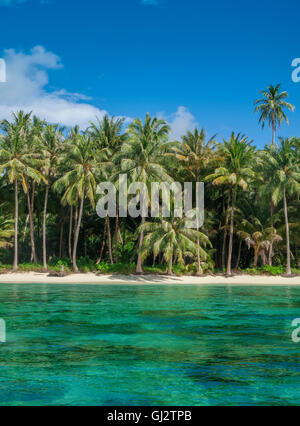 Spiaggia orlata di palme sul bordo di un'isola tropicale isolata Foto Stock