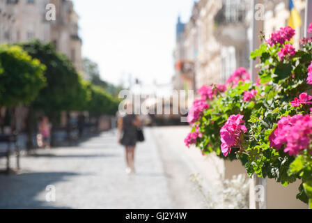 Strada pedonale Olga Kobylianska in Chernivtsi, Ucraina. Sfondo sfocato. Foto Stock