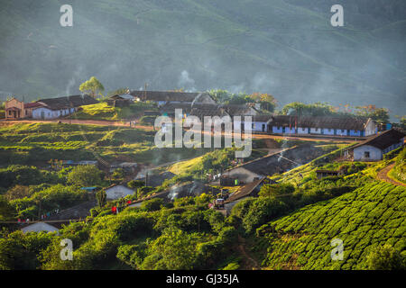 Case per i lavoratori delle piantagioni in Munnar piantagioni di tè, Kerala, India Foto Stock