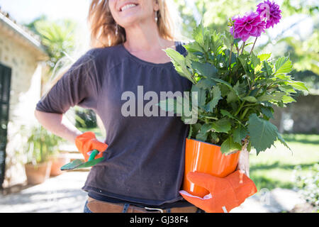 Donna che trasportano viola fioritura delle piante in giardino Foto Stock