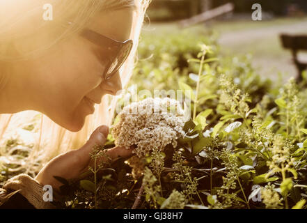Giovane donna, all'aperto, pendente a sentire il profumo dei fiori, close-up Foto Stock