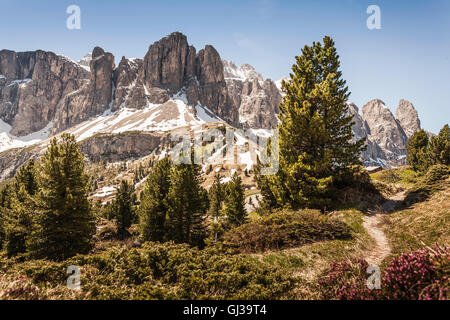 Dolomiti; vista sul Gruppo Sella, Alta Badia, Alto Adige, Italia Foto Stock