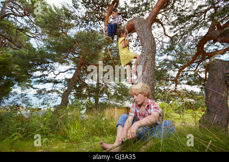 Ragazzo seduto nella struttura ad albero, giovane ragazza arrampicata scaletta di corda su albero e ragazzo seduto in erba Foto Stock