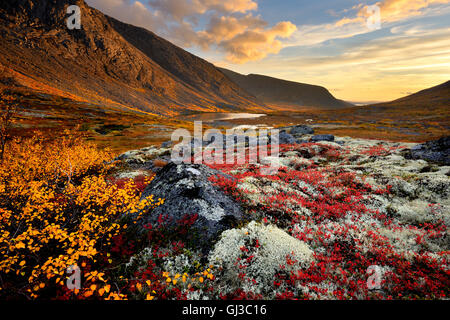 In autunno la valle colorata e Malaya Belaya river, Khibiny mountains, penisola di Kola, Russia