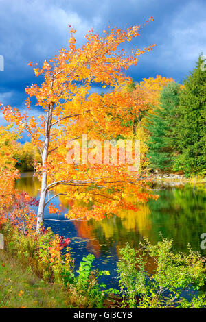 Autunno in Vermont, USA Foto Stock