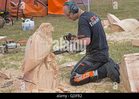 L'uomo chainsaw artista carving eagle dal registro a Countryfile Live 2016 Blenheim REGNO UNITO Foto Stock