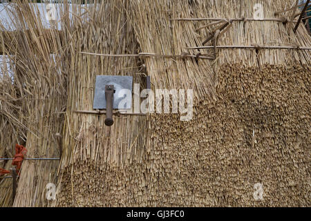 Close up di reed fasci sul tetto in paglia Live Countryfile 2016 Blenheim Palace Woodstock Regno Unito Foto Stock