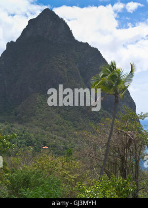 Dh Piton Peak ST LUCIA Caribbean World Heritage mountain Foto Stock