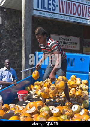 Dh Kingstown ST VINCENT Caraibi Caraibi venditore di cocco autocarro carico di noci di cocco Foto Stock