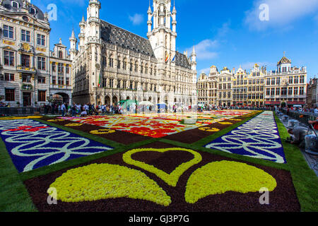 Tappeto di fiori sulla Grand Place di Bruxelles in Belgio oltre 600.000 fiori, begonie e dalie, assemblaggio del tappeto Foto Stock