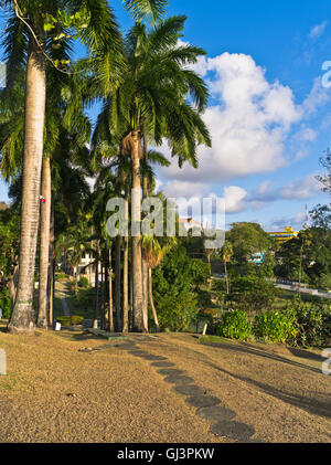 dh Scarborough TOBAGO CARIBBEAN Botanical Gardens percorso palma alta alberi giardino Foto Stock
