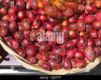 Dh St George GRENADA CARAIBI Spice Market rosso di stallo macis noce moscata dadi st georges spezie Foto Stock