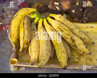 dh St George GRENADA MERCATO CARAIBICO della frutta stallo mazzo di banane di plantain banana matura Foto Stock