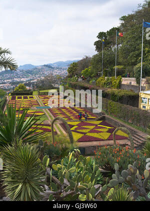 Dh Giardini Botanici Funchal Madeira turisti visualizzazione impianto hedge mosaico letti terrazza giardino Foto Stock