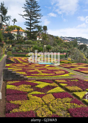 Dh Giardini Botanici Funchal Madeira turisti impianto hedge Mosaico pattern terrazza letti Foto Stock