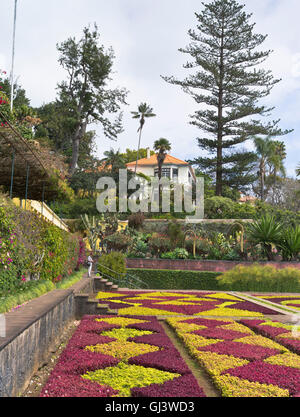 Dh Giardini Botanici Funchal Madeira Tourist donna visualizzazione hedge Mosaico pattern letti terrazza giardino botanico Foto Stock