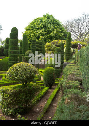 dh Botanical Gardens FUNCHAL MADEIRA Tourist fotografando siepi topiari arbusto disegni di giardino Foto Stock