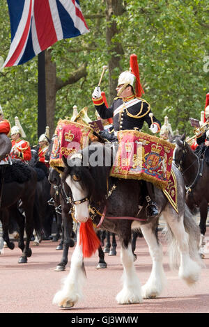 Fascia di montaggio della cavalleria della famiglia a Trooping il colore mercurio il cavallo del tamburo della vita delle guardie e Blues e Royals Foto Stock