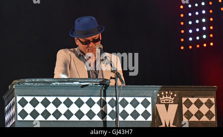 Cropredy, UK. 11 Agosto, 2016. Immagine :Fairports Convenzione Cropredy Festival 2016: Follia headline sul palco principale il giovedì sera. Data 11/08/2016 Ref: Credito: charlie bryan/Alamy Live News Foto Stock