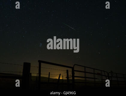 Knights Ferry, CA, Stati Uniti d'America. 12 Ago, 2016. Il Perseid Meteor doccia hanno raggiunto un picco di ieri sera, 11 agosto 2016, dando sky watchers in California uno spettacolo. © Marty Bicek/ZUMA filo/Alamy Live News Foto Stock